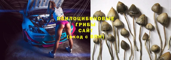 мет Баксан