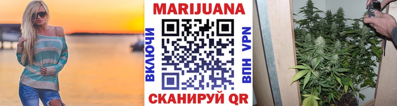OMG онион  Сегежа  Каннабис план 